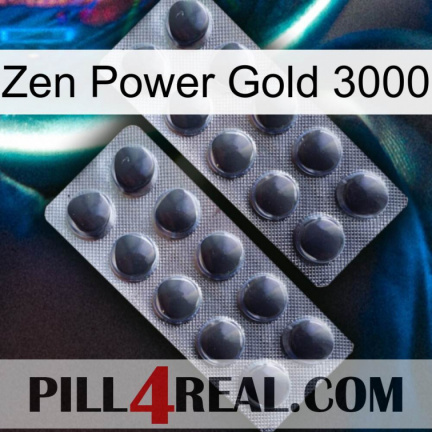 Zen Power Gold 3000 31